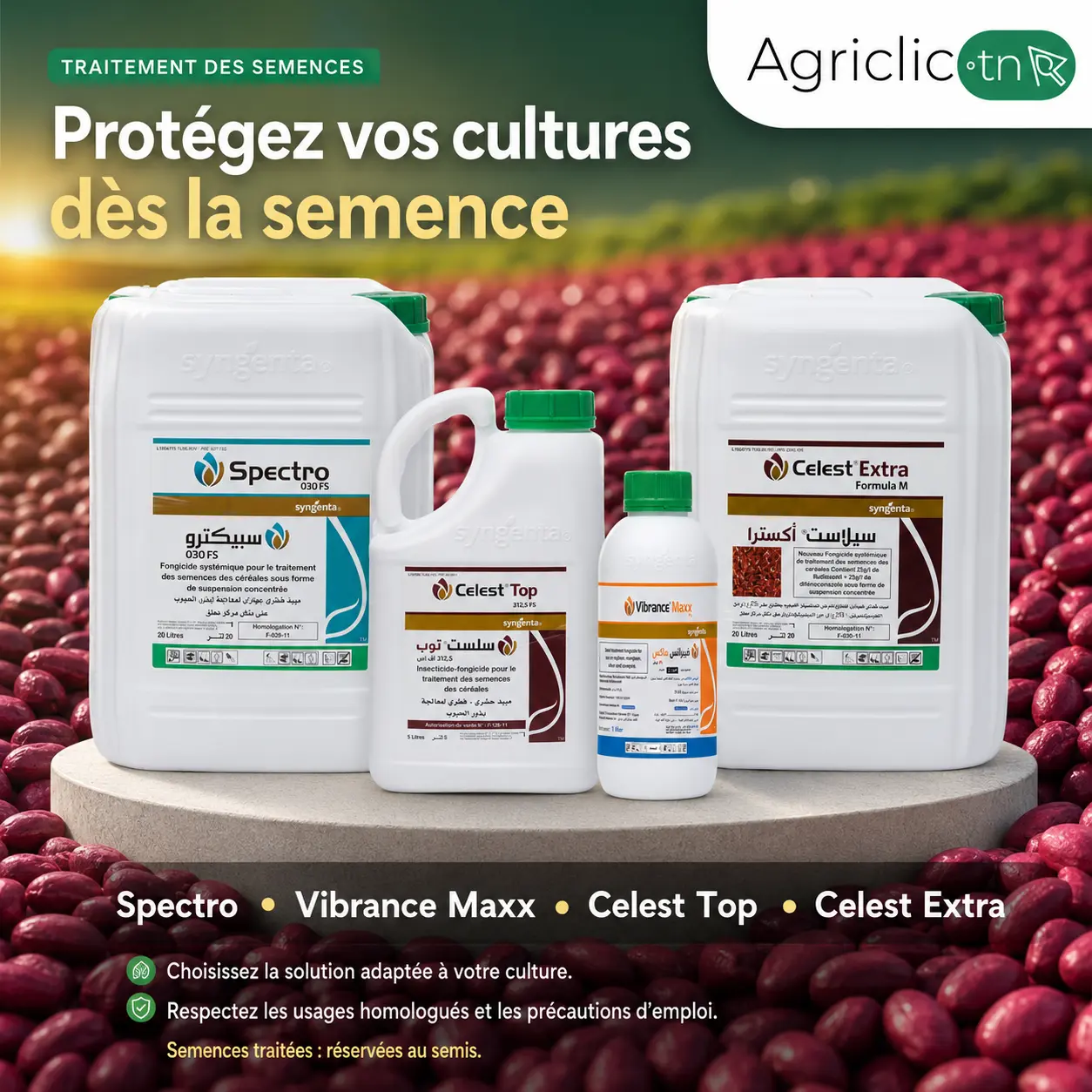 Traitement de semences