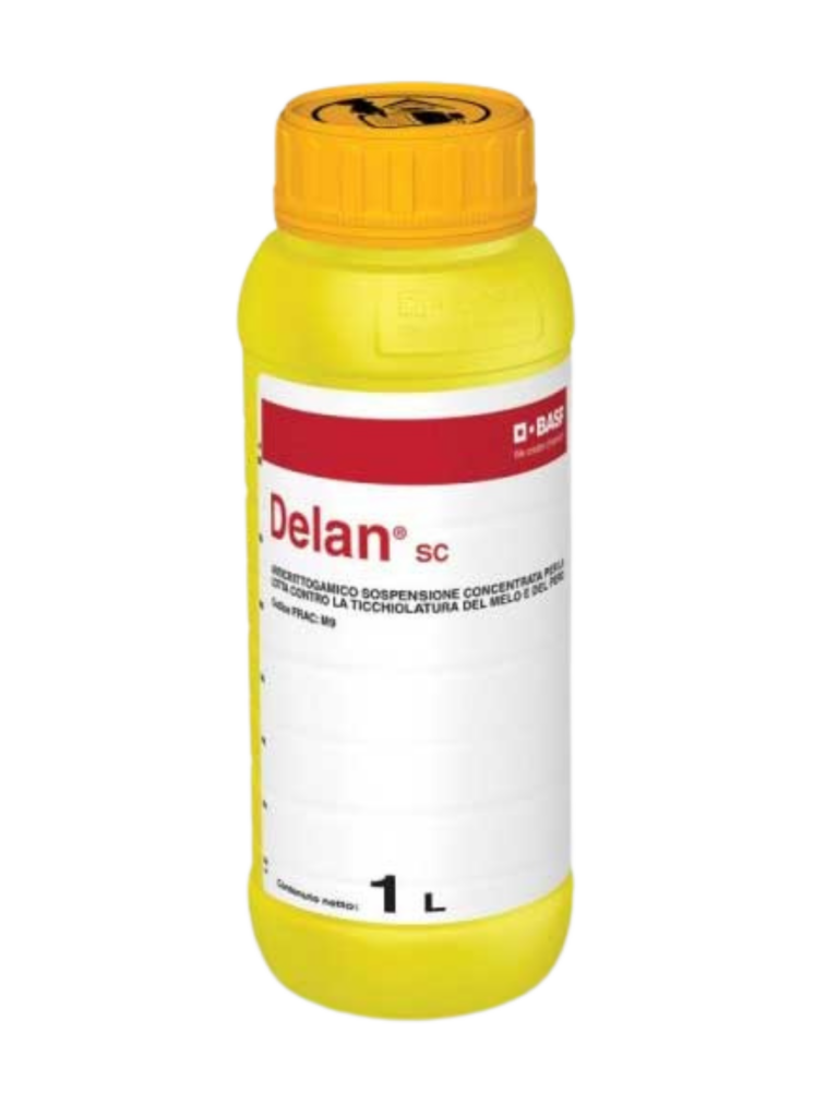 DELAN BASF