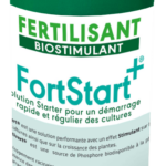 FortStart Plus