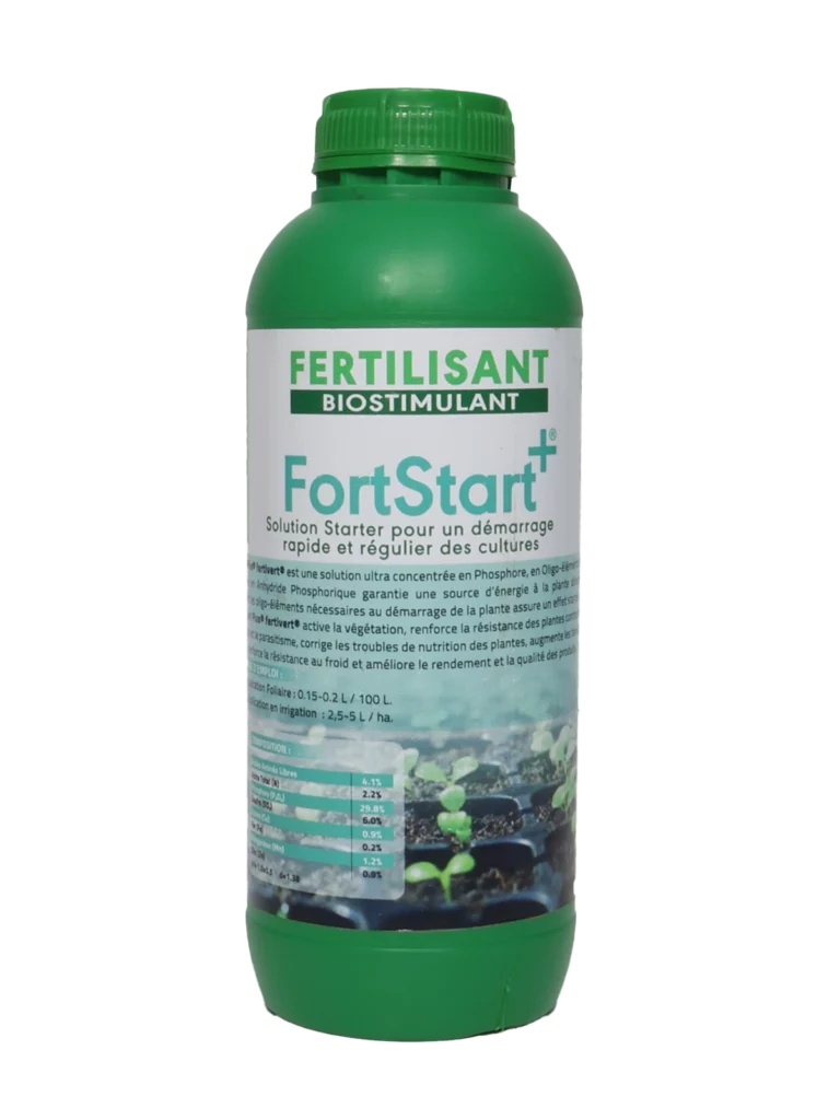 FortStart Plus