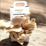 Agriclic Pleurote kit pleurote de champignons Ecomarc