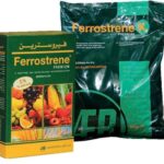 FERROSTRENE PREMIUM logo logo