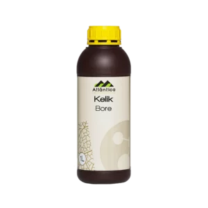 kelik-bore logo