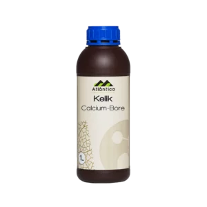 kelik-calcium-bore logo