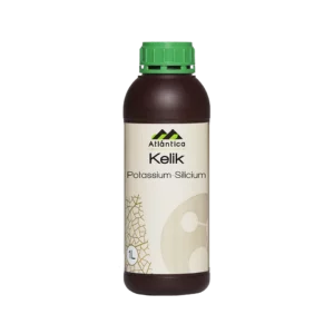 KELIK K-SI Agriclic.tn Atlantica Agricola, Bioprotection Partenaire Partenariat