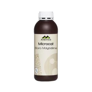 microcat-bore-molybdone Agriclic.tn Atlantica Agricola, Bioprotection Partenaire Partenariat