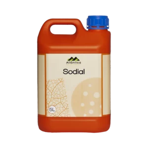 sodial logo