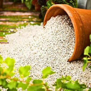 Agro Perla Perlite