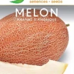 SEMENCE-MELON-ANANAS-AMERIQUE-BADDAR Agriclic.tn Espace vert