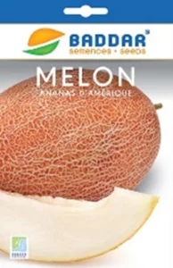 SEMENCE-MELON-ANANAS-AMERIQUE-BADDAR Agriclic.tn Espace vert