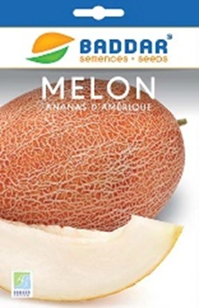 SEMENCE-MELON-ANANAS-AMERIQUE-BADDAR Agriclic.tn Espace vert