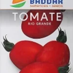 SEMENCE TOMATE RIO GRANDE BADDAR Agriclic Espace Vert