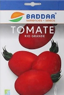 SEMENCE TOMATE RIO GRANDE BADDAR Agriclic Espace Vert