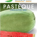 SEMENCEPASTEQUE-CHARLESTON-GREY-BADDAR Agriclic Espace Vert