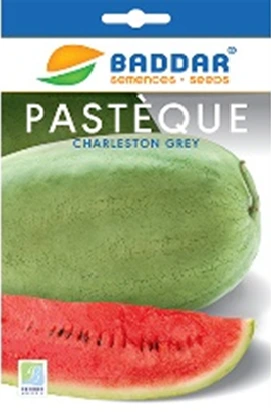 SEMENCEPASTEQUE-CHARLESTON-GREY-BADDAR Agriclic Espace Vert