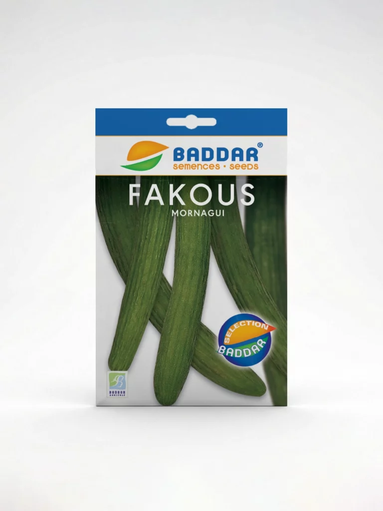 SEMENCE-FAKOUS-MORNAGUI-BADDAR Agriclic.tn