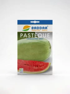 SEMENCEPASTEQUE-CHARLESTON-GREY-BADDAR Agriclic.tn