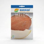 SEMENCE-MELON-ANANAS-AMERIQUE-BADDAR Agriclic.tn