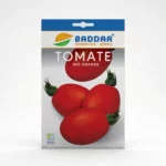 SEMENCE TOMATE RIO GRANDE BADDAR Agriclic.tn