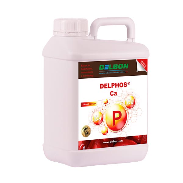 DELHPOS-Ca Agriclic.tn Agri Green Partenariat