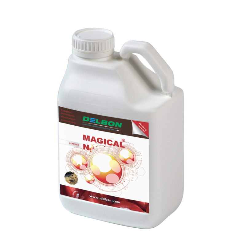 Magical N Agriclic.tn