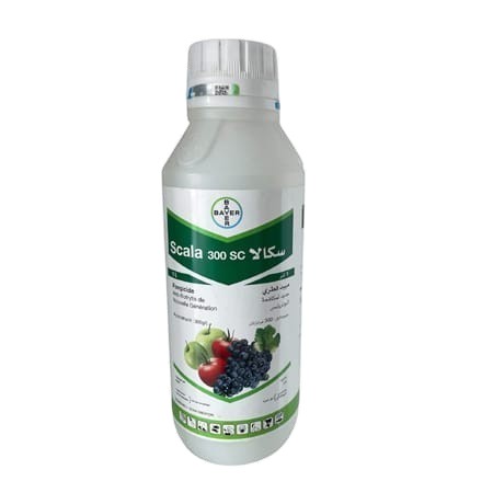 SCALA Agriclic.tn Bayer