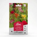 semence Amaranthe Crête de Coq  Agriclic.tn