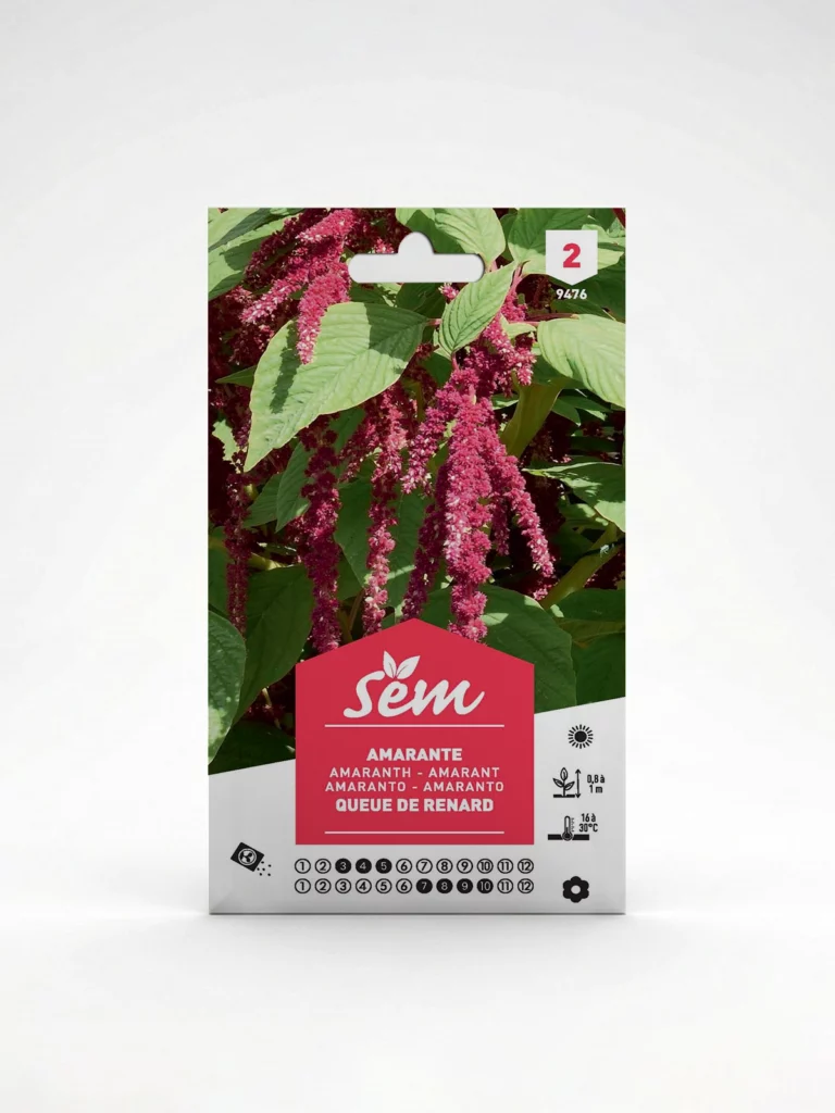 semence Amaranthe Queue de Renard  Agriclic.tn