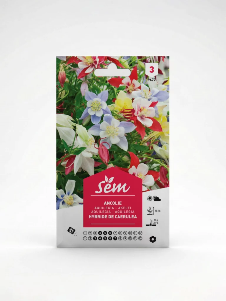 Semence Ancolie Agriclic.tn