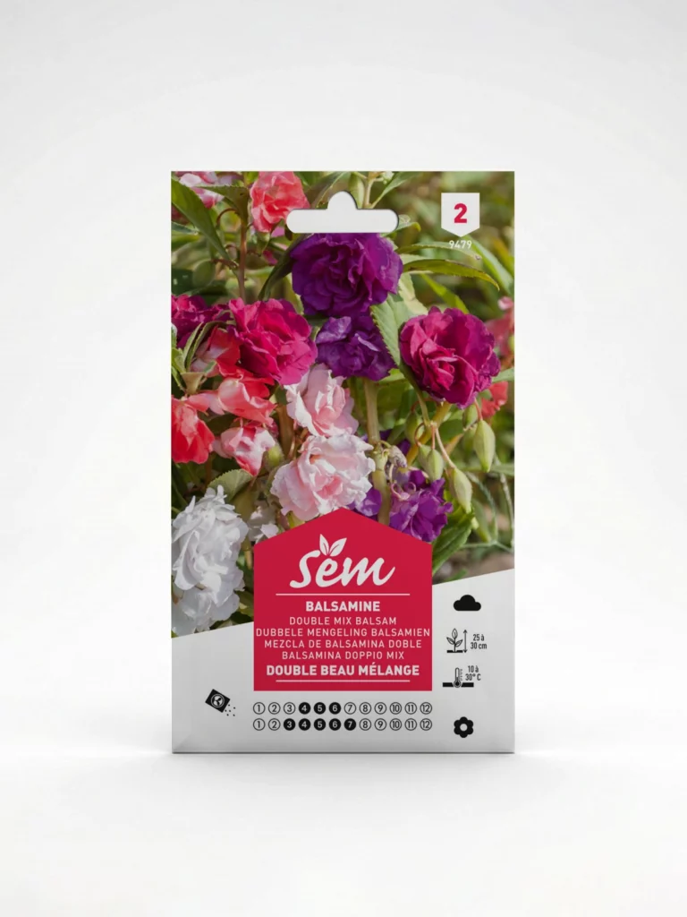 Semence Balsamine  Agriclic.tn