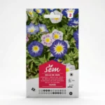 Belle de Jour Variée  Agriclic.tn