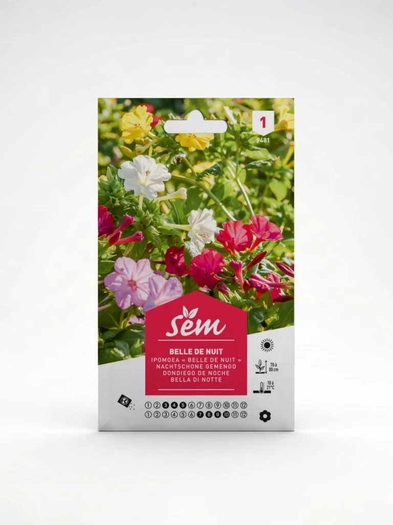 semence Belle de nuit  Agriclic.tn
