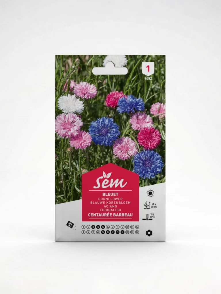 semence Bleuet  Agriclic.tn