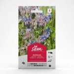 semence Bourrache Agriclic.tn