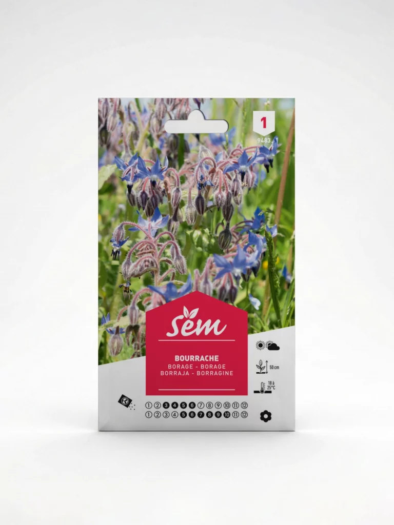 semence Bourrache Agriclic.tn