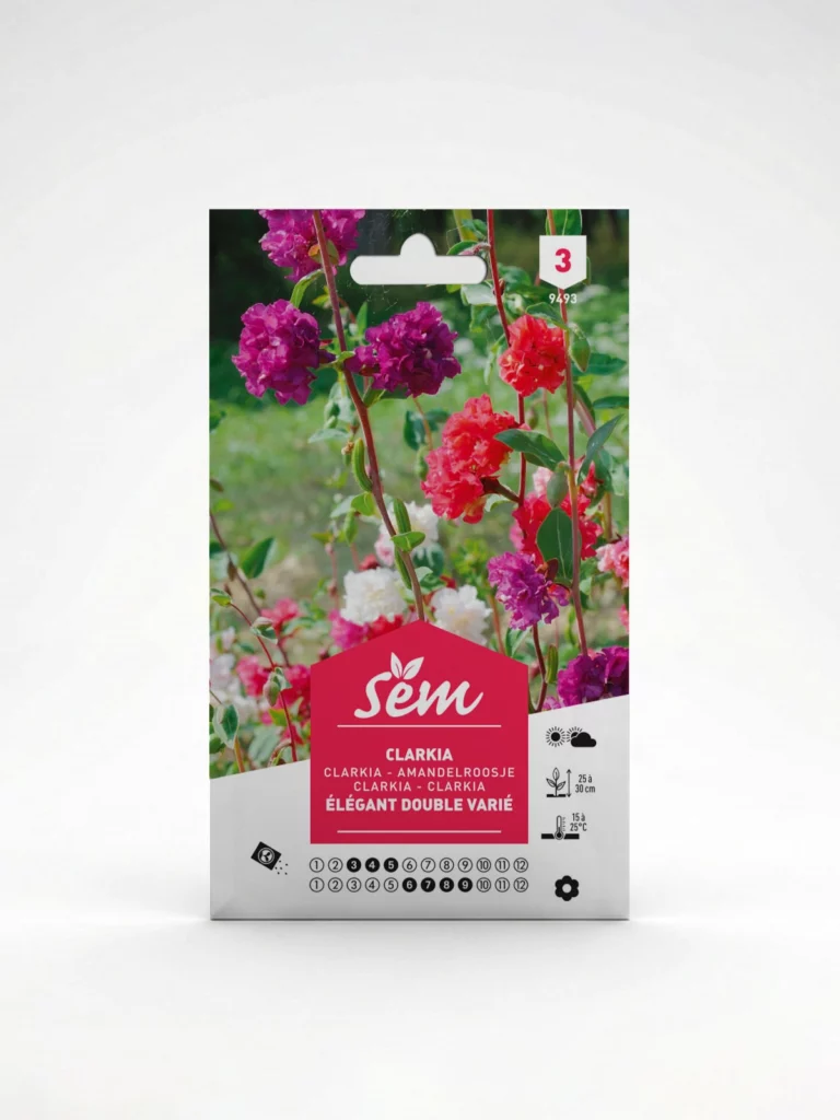 Semance Capucine Naine en Mélange Agriclic.tn