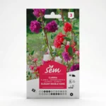 Semance Clarkia Agriclic.tn