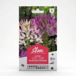 Semance Cleome Agriclic.tn