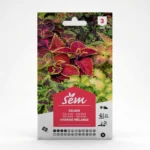Semance Coleus Agriclic.tn
