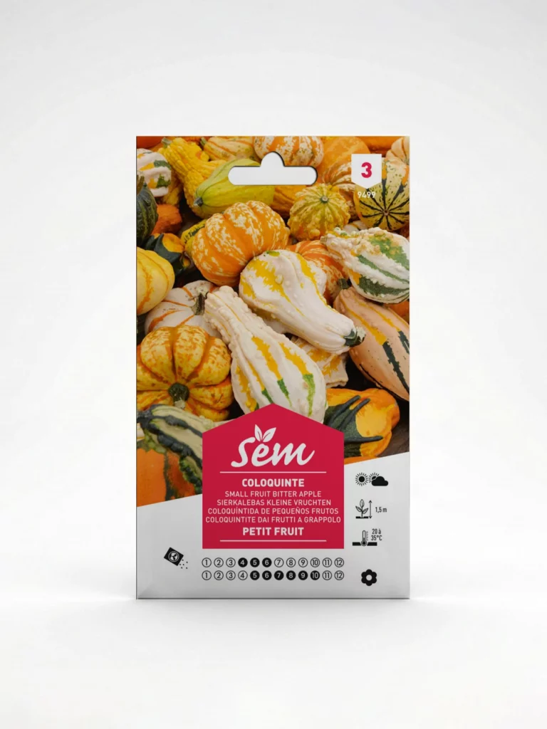 Semance Coloquinte petit fruit Agriclic.tn