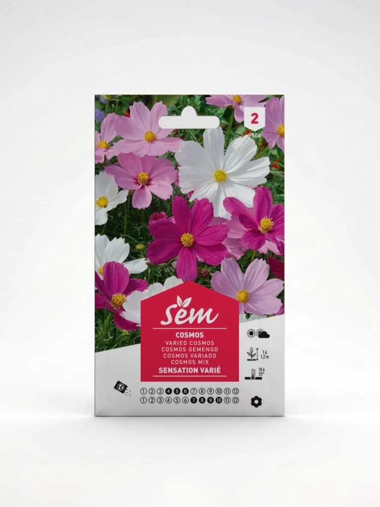 Semance Cosmos sensation variée Agriclic.tn