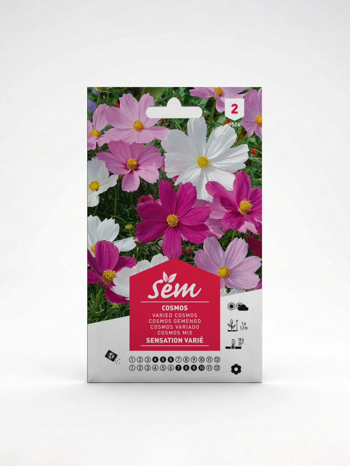 Semance Cosmos sensation variée Agriclic.tn Semance Cosmos sensation variée Agriclic.tn