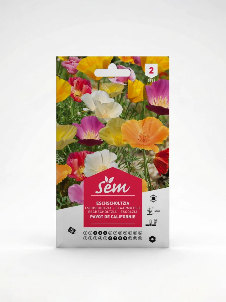 Semance Eschscholtzia Agriclic.tn