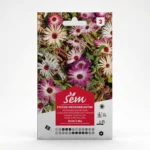 Semance Ficoïde Agriclic.tn