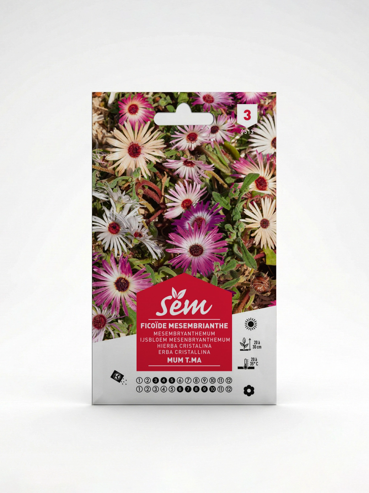 Semance Ficoïde Agriclic.tn Semance Ficoïde Agriclic.tn