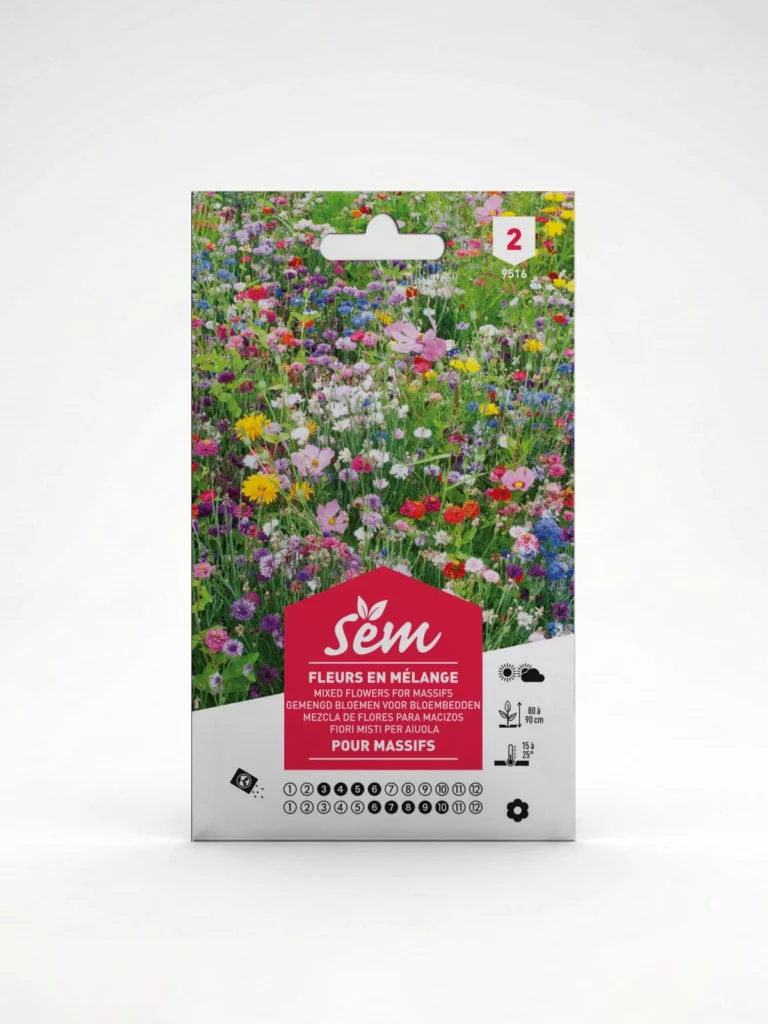 Semance Fleurs en mélange pour massif Agriclic.tn