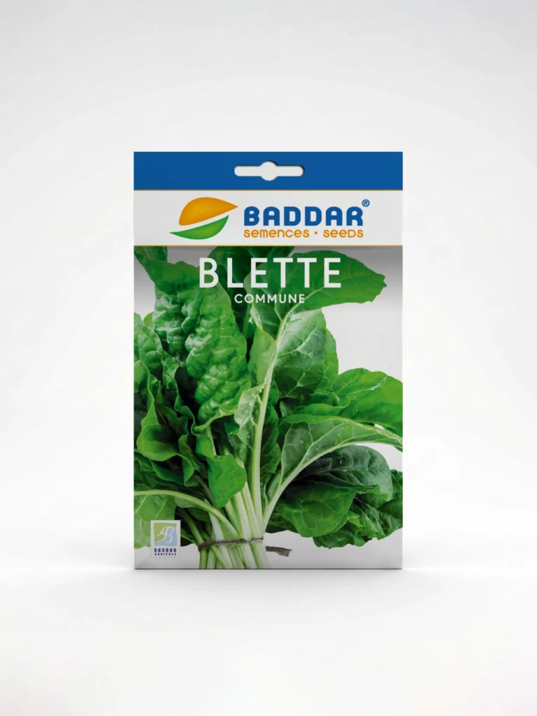 SEMENCE-BLETTE-BADDAR Agriclic.tn