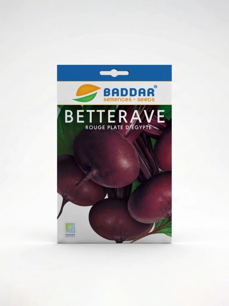 SEMENCE-BETTRAVE-ROUGE-PLATE-DEGYPTE-BADDAR Agriclic.tn