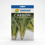 CARDON PLEIN BLANC INERNME M Agriclic.tn