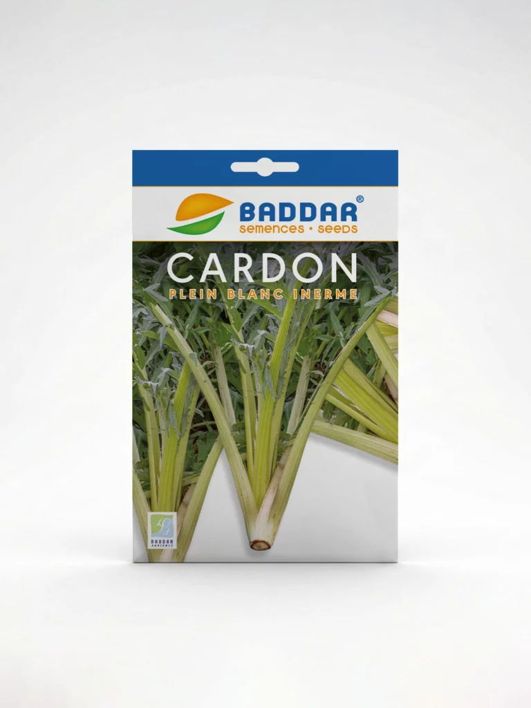 CARDON PLEIN BLANC INERNME M Agriclic.tn